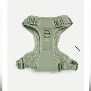 Maxbone leash and harness